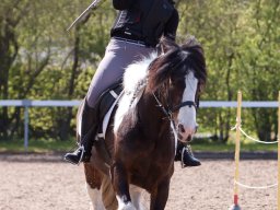 IMG_1782_web